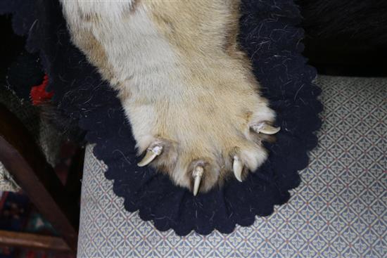 A tiger skin rug, complete with head and claws